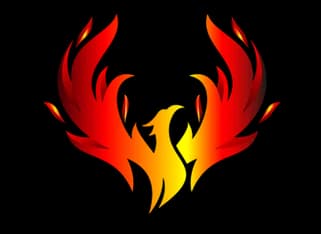 Mc-1st Logo